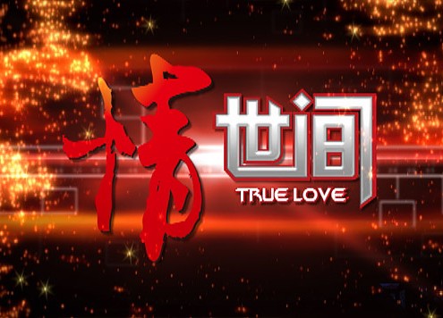 2008年《情世间》栏目包装